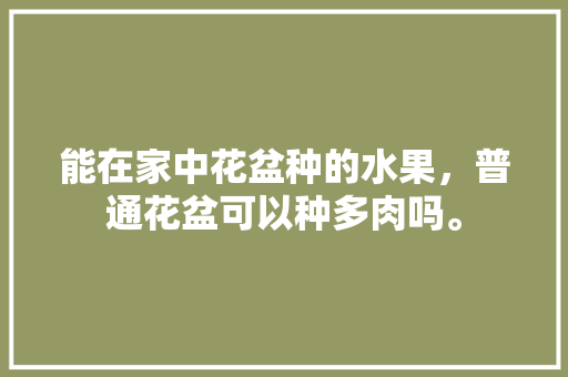 能在家中花盆种的水果，普通花盆可以种多肉吗。 蔬菜种植