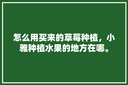 怎么用买来的草莓种植，小雅种植水果的地方在哪。 家禽养殖