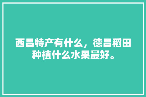 西昌特产有什么，德昌稻田种植什么水果最好。 土壤施肥