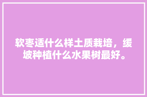 软枣适什么样土质栽培，缓坡种植什么水果树最好。 家禽养殖