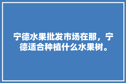 宁德水果批发市场在那，宁德适合种植什么水果树。 蔬菜种植