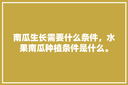 南瓜生长需要什么条件，水果南瓜种植条件是什么。 土壤施肥