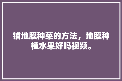 铺地膜种菜的方法，地膜种植水果好吗视频。 畜牧养殖