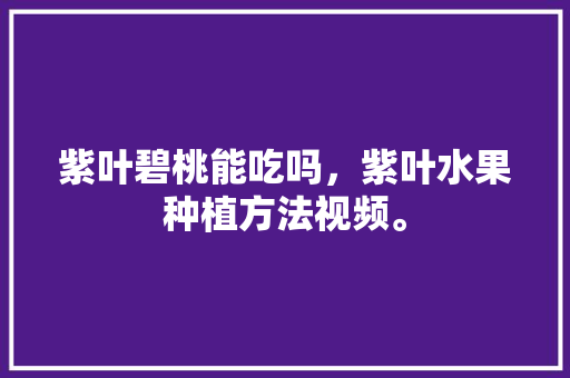 紫叶碧桃能吃吗，紫叶水果种植方法视频。 水果种植