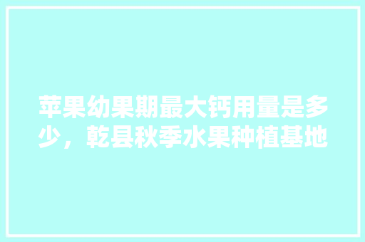 苹果幼果期最大钙用量是多少，乾县秋季水果种植基地。 蔬菜种植