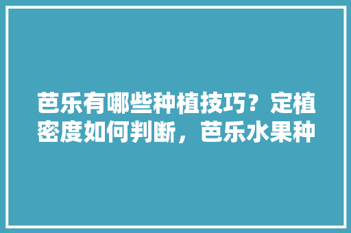 芭乐有哪些种植技巧？定植密度如何判断，芭乐水果种植方法图解大全。 畜牧养殖