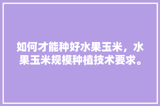 如何才能种好水果玉米，水果玉米规模种植技术要求。 畜牧养殖