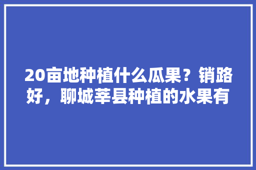 20亩地种植什么瓜果？销路好，聊城莘县种植的水果有哪些。 水果种植