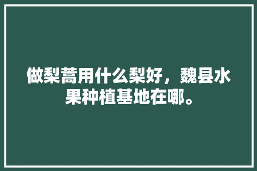 做梨蒿用什么梨好，魏县水果种植基地在哪。 畜牧养殖