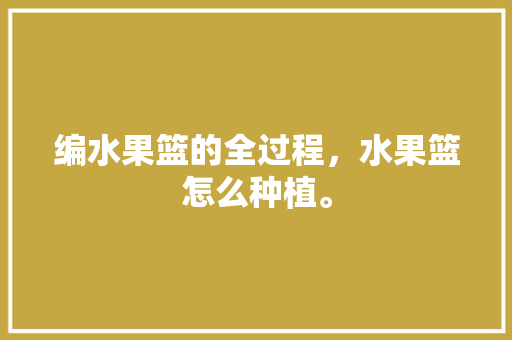 编水果篮的全过程，水果篮怎么种植。 水果种植