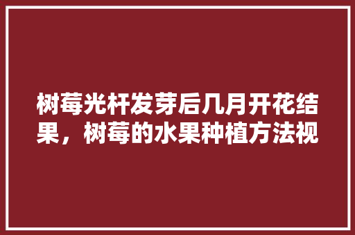 树莓光杆发芽后几月开花结果，树莓的水果种植方法视频。 蔬菜种植