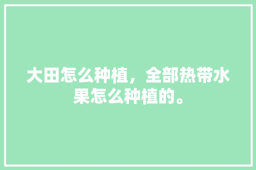 大田怎么种植，全部热带水果怎么种植的。 蔬菜种植