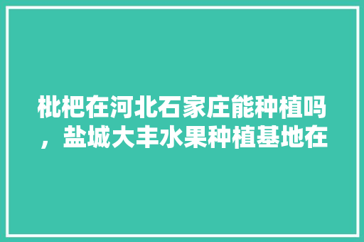 枇杷在河北石家庄能种植吗，盐城大丰水果种植基地在哪里。 畜牧养殖