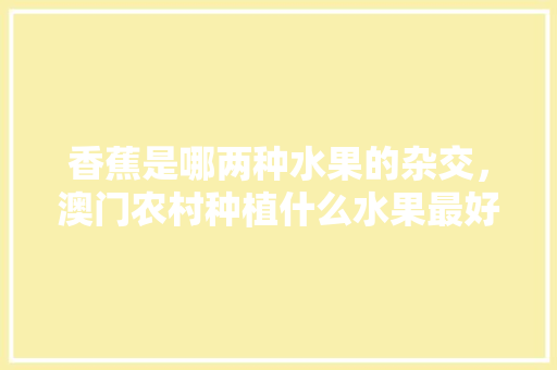 香蕉是哪两种水果的杂交，澳门农村种植什么水果最好。 畜牧养殖