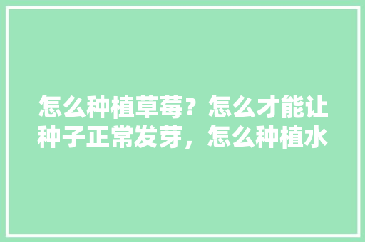 怎么种植草莓？怎么才能让种子正常发芽，怎么种植水果籽视频教程。 土壤施肥