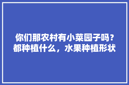 你们那农村有小菜园子吗？都种植什么，水果种植形状图片欣赏大全。 家禽养殖