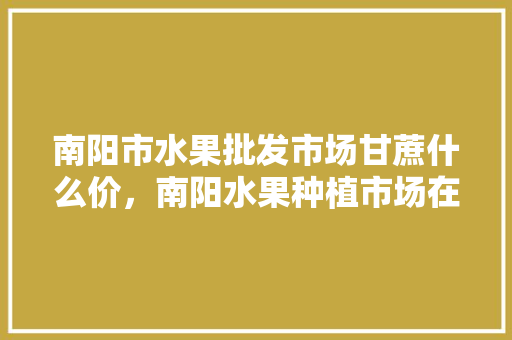 南阳市水果批发市场甘蔗什么价，南阳水果种植市场在哪里。 蔬菜种植