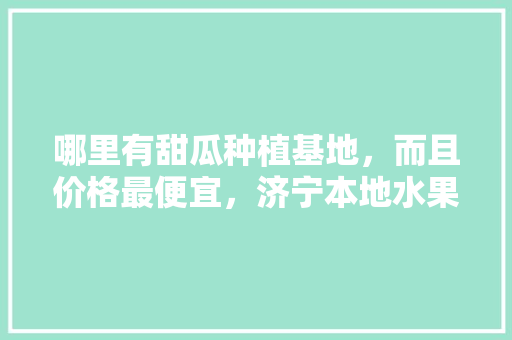 哪里有甜瓜种植基地，而且价格最便宜，济宁本地水果种植基地在哪里。 畜牧养殖