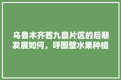 乌鲁木齐西九鼎片区的后期发展如何，呼图壁水果种植基地在哪。 蔬菜种植