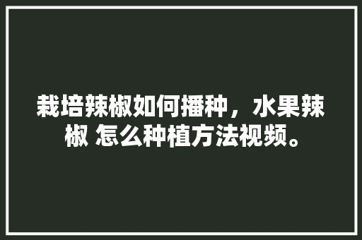 栽培辣椒如何播种，水果辣椒 怎么种植方法视频。 水果种植