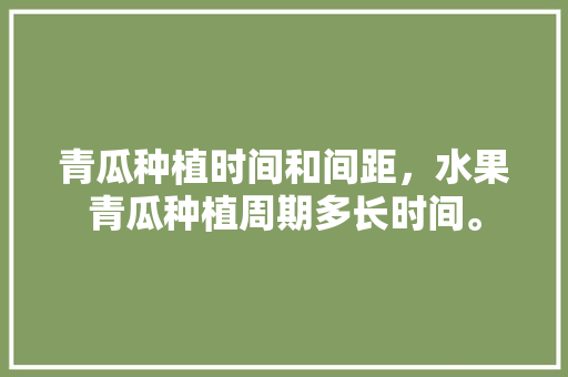 青瓜种植时间和间距，水果青瓜种植周期多长时间。 水果种植