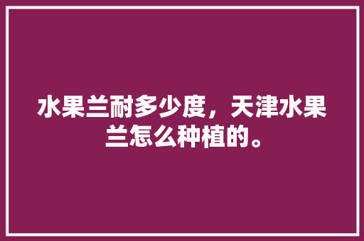 水果兰耐多少度，天津水果兰怎么种植的。 土壤施肥