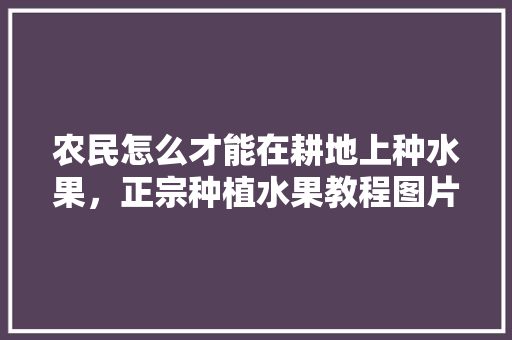 农民怎么才能在耕地上种水果，正宗种植水果教程图片大全。 水果种植