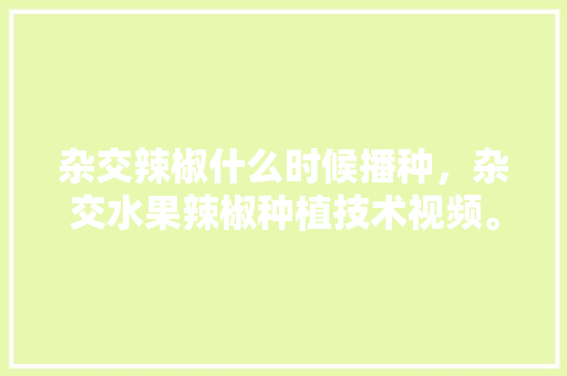 杂交辣椒什么时候播种，杂交水果辣椒种植技术视频。 土壤施肥