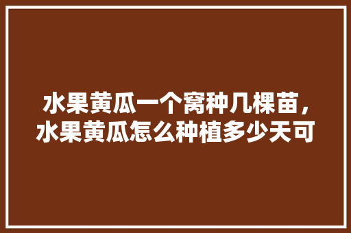 水果黄瓜一个窝种几棵苗，水果黄瓜怎么种植多少天可以吃。 土壤施肥