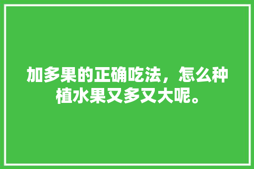 加多果的正确吃法，怎么种植水果又多又大呢。 水果种植