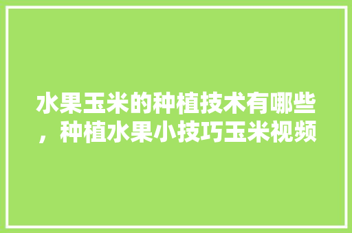 水果玉米的种植技术有哪些，种植水果小技巧玉米视频。 土壤施肥