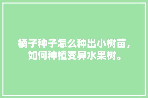 橘子种子怎么种出小树苗，如何种植变异水果树。 水果种植