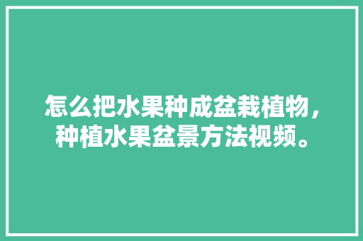 怎么把水果种成盆栽植物，种植水果盆景方法视频。 土壤施肥