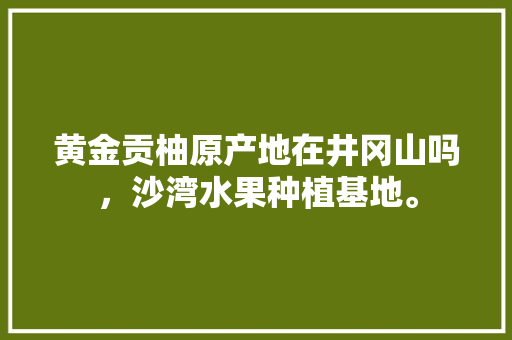 黄金贡柚原产地在井冈山吗，沙湾水果种植基地。 家禽养殖