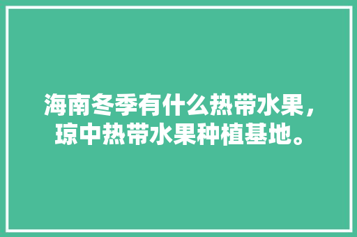 海南冬季有什么热带水果，琼中热带水果种植基地。 水果种植