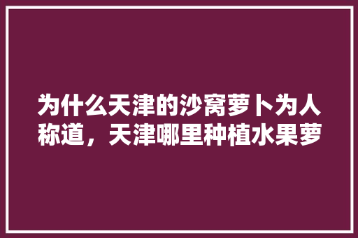 为什么天津的沙窝萝卜为人称道，天津哪里种植水果萝卜最多。 土壤施肥