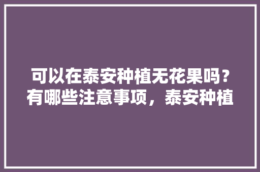 可以在泰安种植无花果吗？有哪些注意事项，泰安种植什么水果好吃。 畜牧养殖