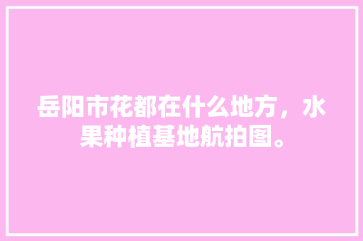 岳阳市花都在什么地方，水果种植基地航拍图。 水果种植