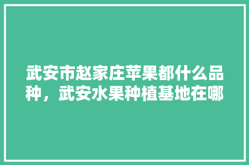 武安市赵家庄苹果都什么品种，武安水果种植基地在哪里。 水果种植