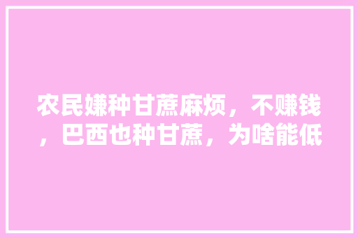 农民嫌种甘蔗麻烦，不赚钱，巴西也种甘蔗，为啥能低成本便宜卖，巴西的水果种植技术与管理。 家禽养殖