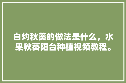 白灼秋葵的做法是什么，水果秋葵阳台种植视频教程。 水果种植