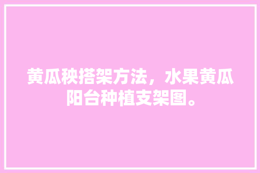 黄瓜秧搭架方法，水果黄瓜阳台种植支架图。 土壤施肥