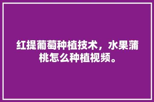 红提葡萄种植技术，水果蒲桃怎么种植视频。 家禽养殖