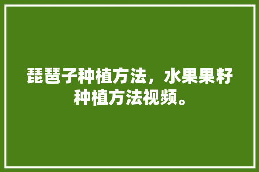 琵琶子种植方法，水果果籽种植方法视频。 琵琶子种植方法，水果果籽种植方法视频。 水果种植