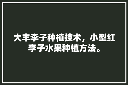 大丰李子种植技术，小型红李子水果种植方法。 水果种植