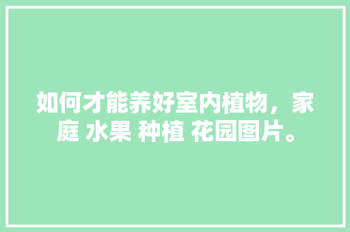 如何才能养好室内植物，家庭 水果 种植 花园图片。 家禽养殖