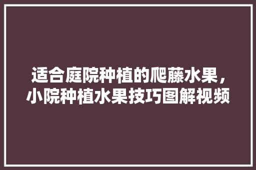 适合庭院种植的爬藤水果，小院种植水果技巧图解视频。 水果种植