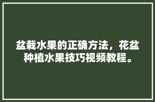 盆栽水果的正确方法，花盆种植水果技巧视频教程。 蔬菜种植