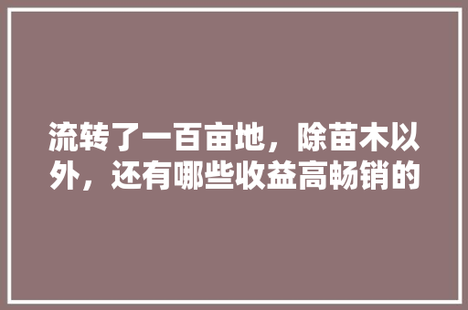 流转了一百亩地，除苗木以外，还有哪些收益高畅销的农作物，水果芥菜种植基地在哪里。 水果种植