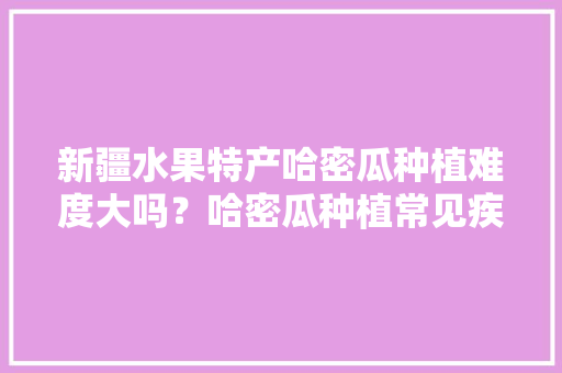 新疆水果特产哈密瓜种植难度大吗？哈密瓜种植常见疾病有哪些，新疆种植水果优势有哪些。 水果种植